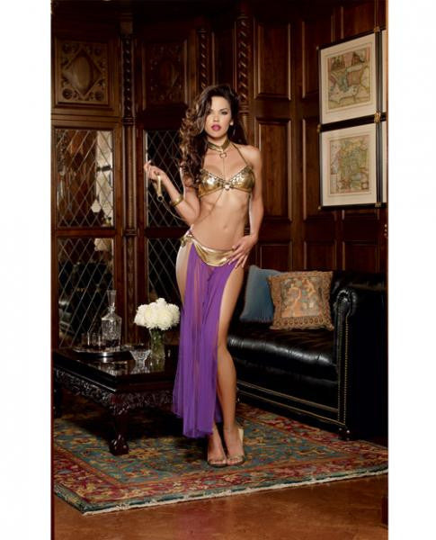 3 Pc Halter Bra W/coin Trim, Thong W/attached Mesh Skirt & Neck Collar W/chain Leash Gold O/s