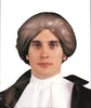 Colonial Wig Brown